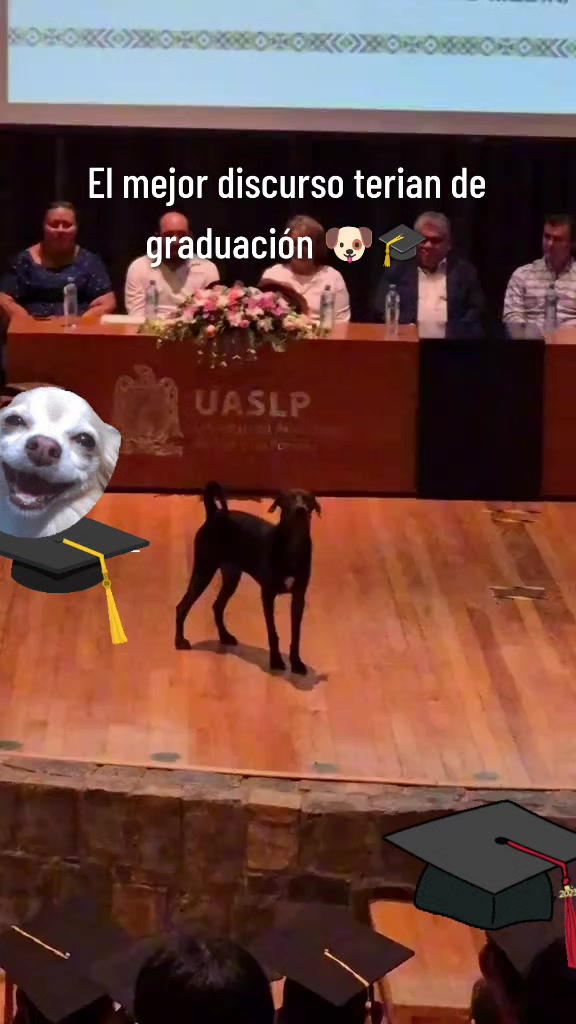 @Master_Martin