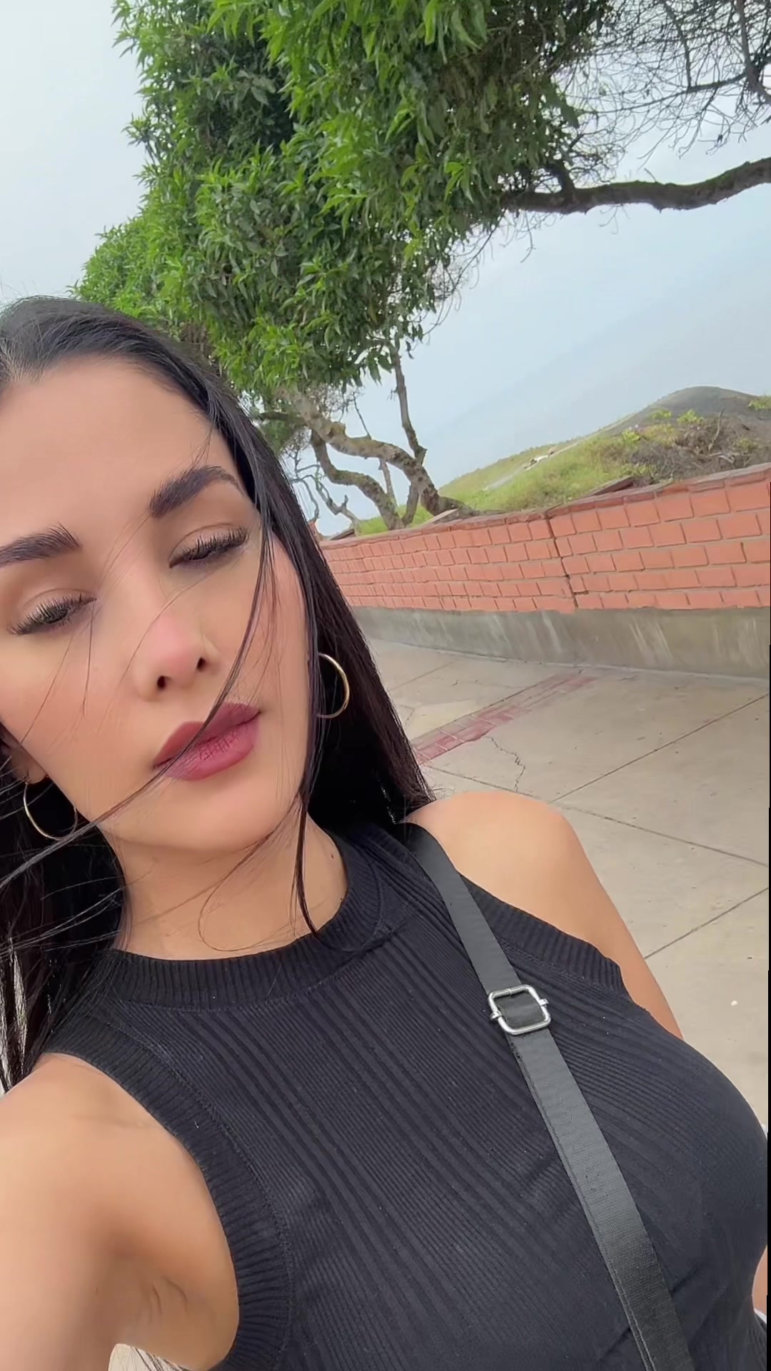 @soy.charlotte