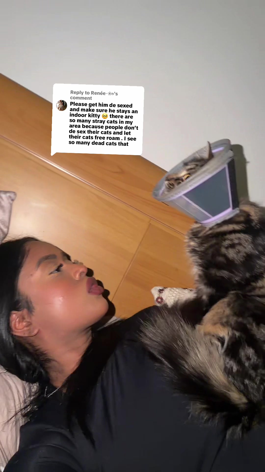 @aniishaakhtar