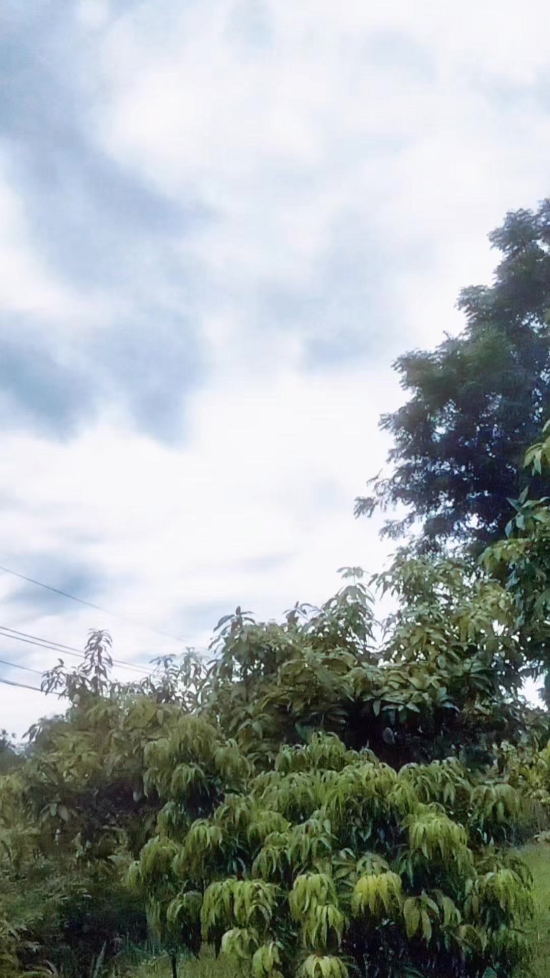 @Surasak Wongnet