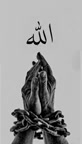@Shahjad Shahjad