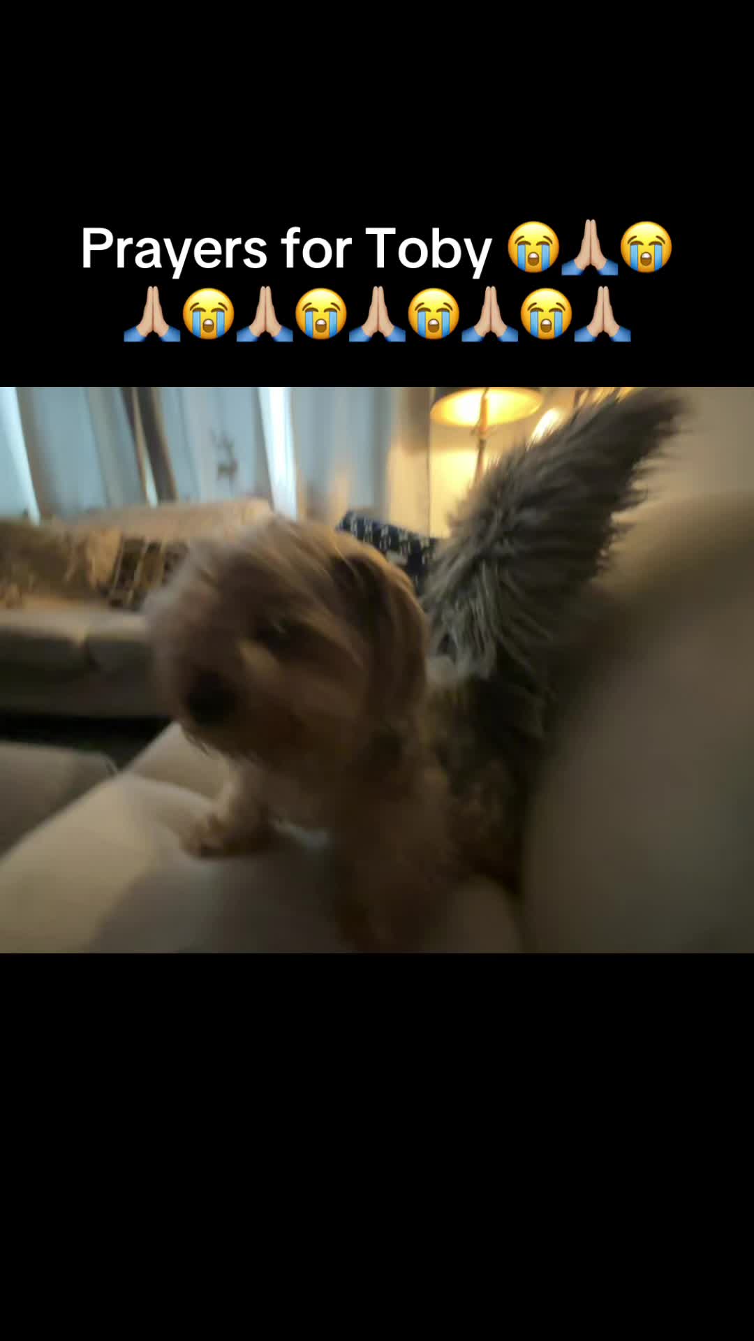 @Dina😇