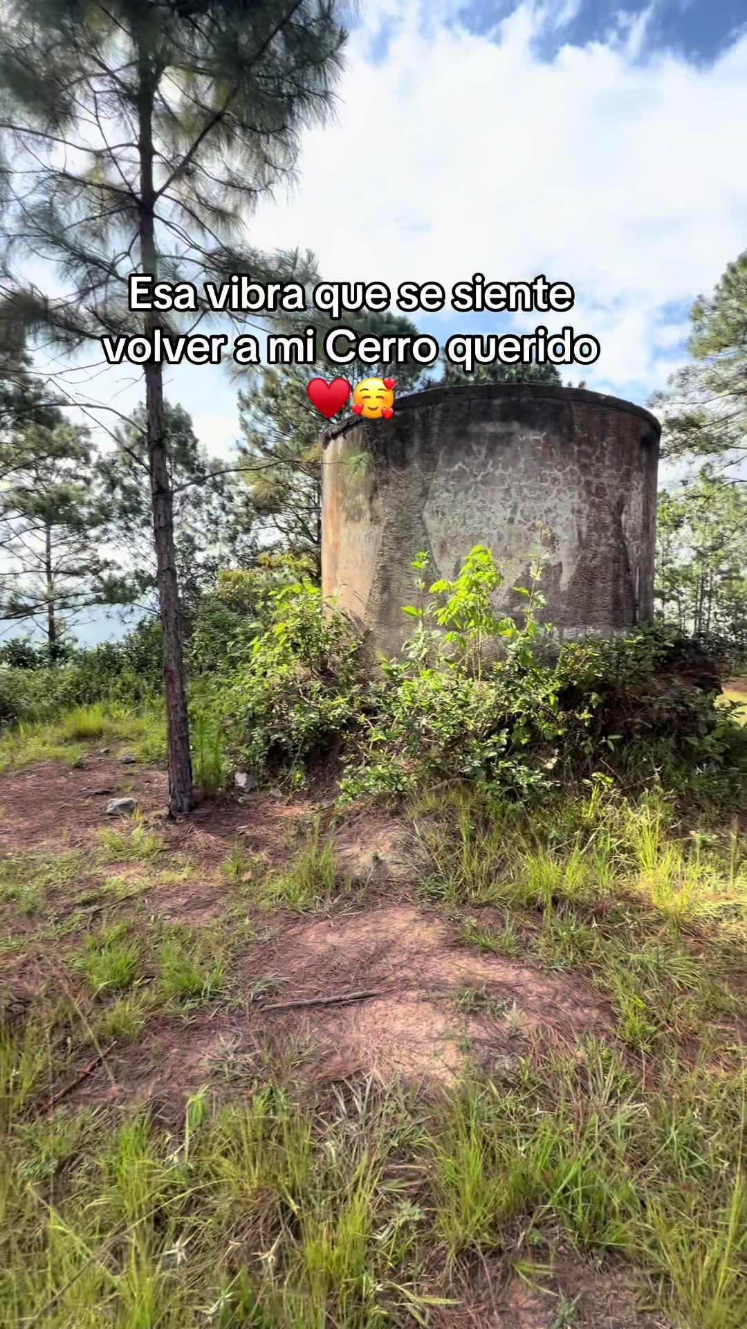 @Yosy Meza Villeda