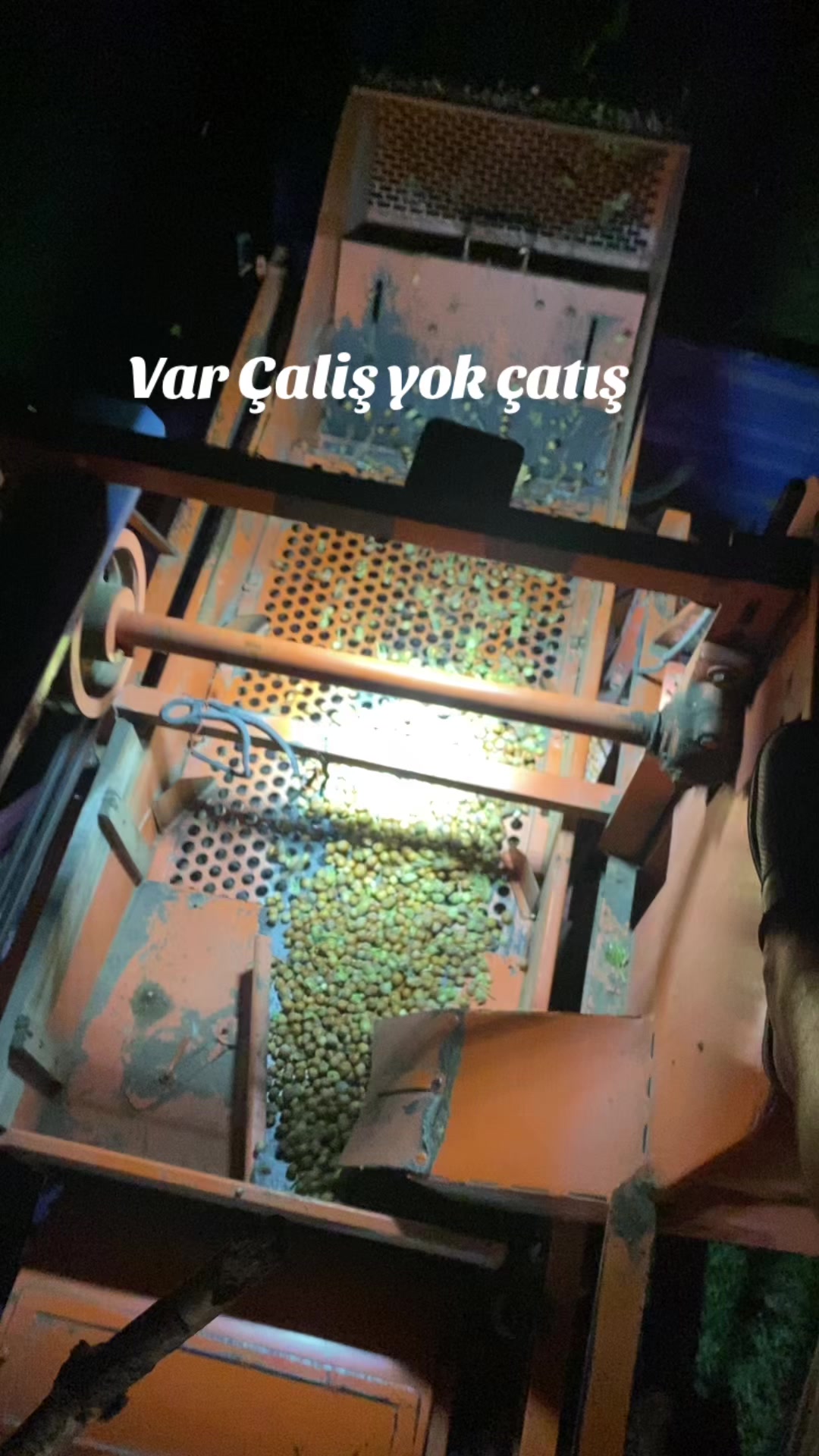 @TC _Aslan _Özcan