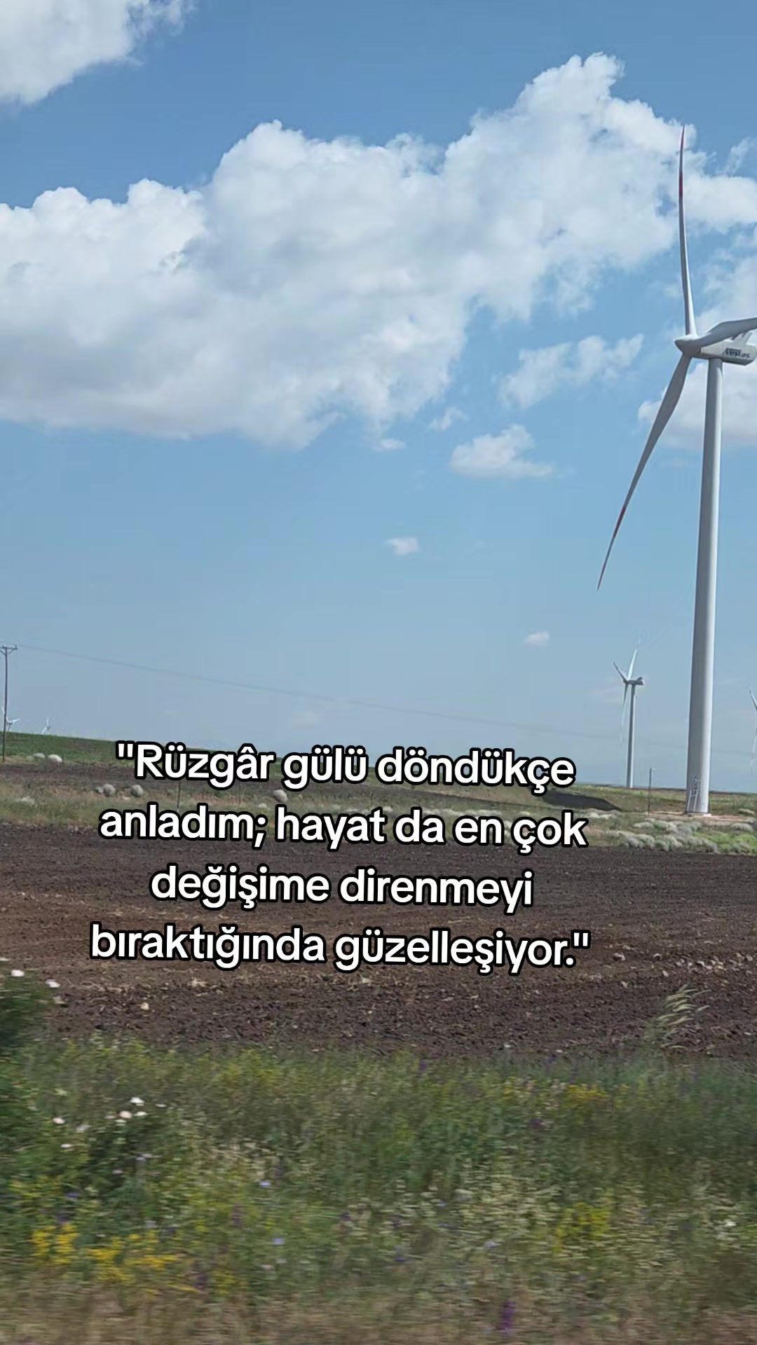 @hayattan izler