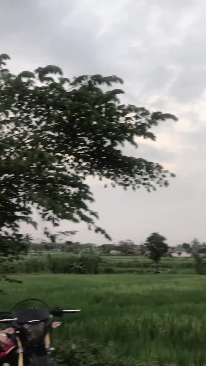 @radong