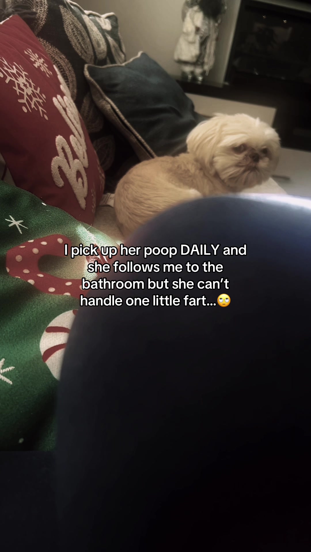 @nitaandcookiesha