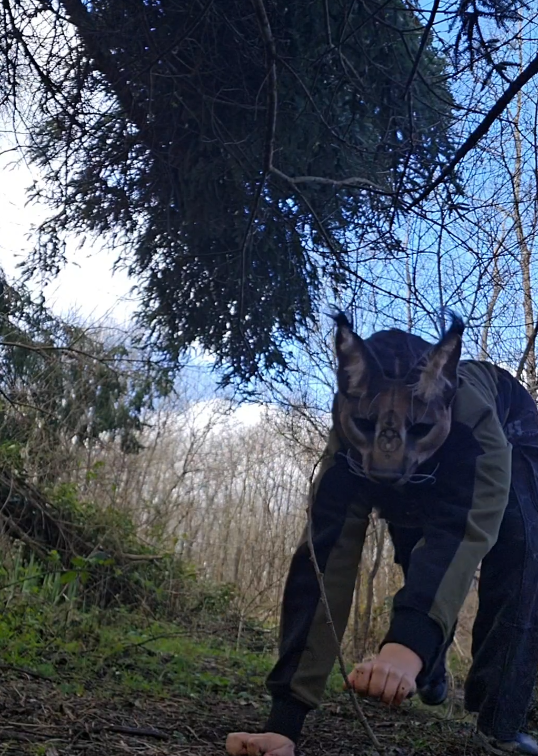 @cauldron.cat