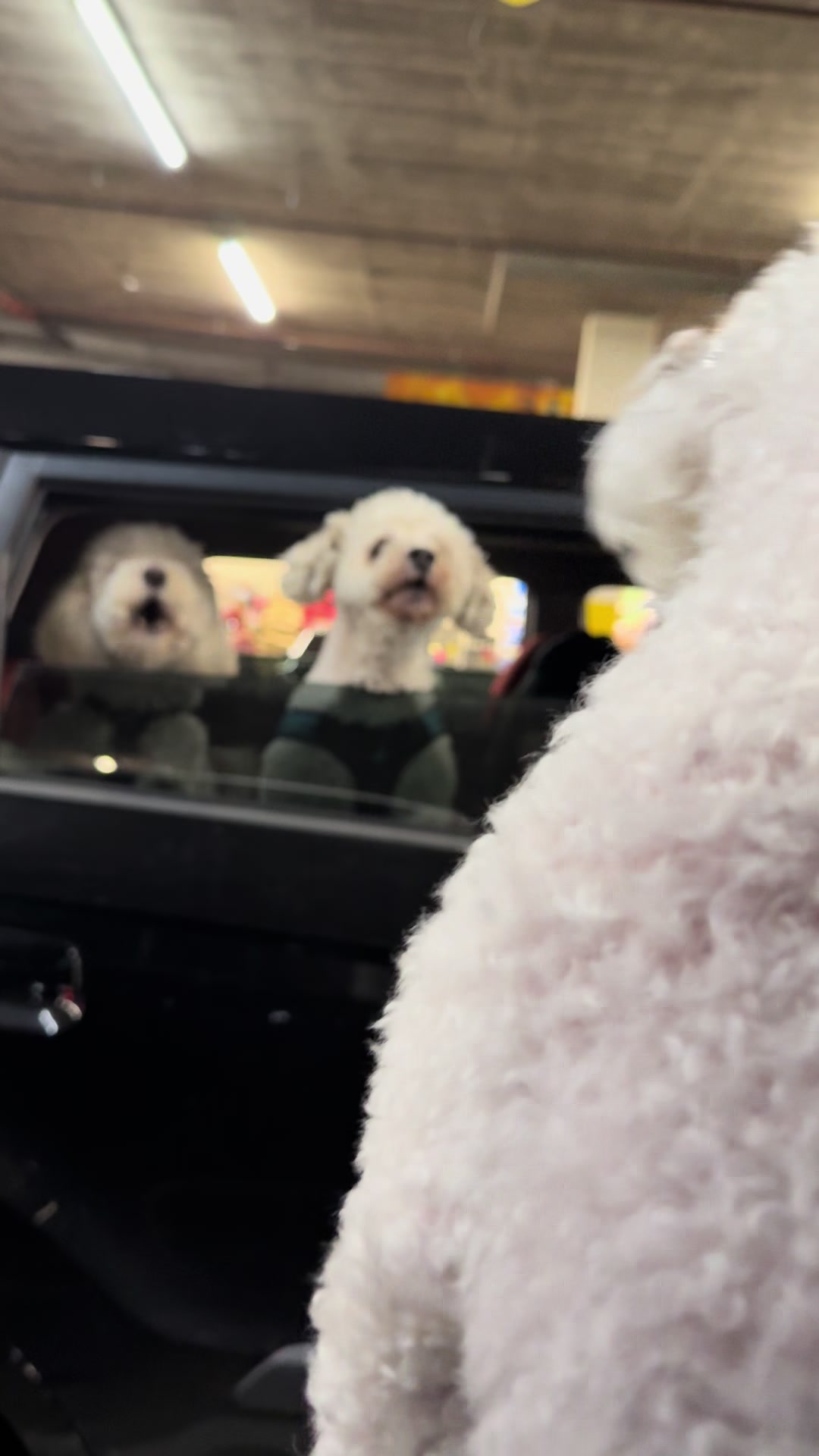 @Drive With me