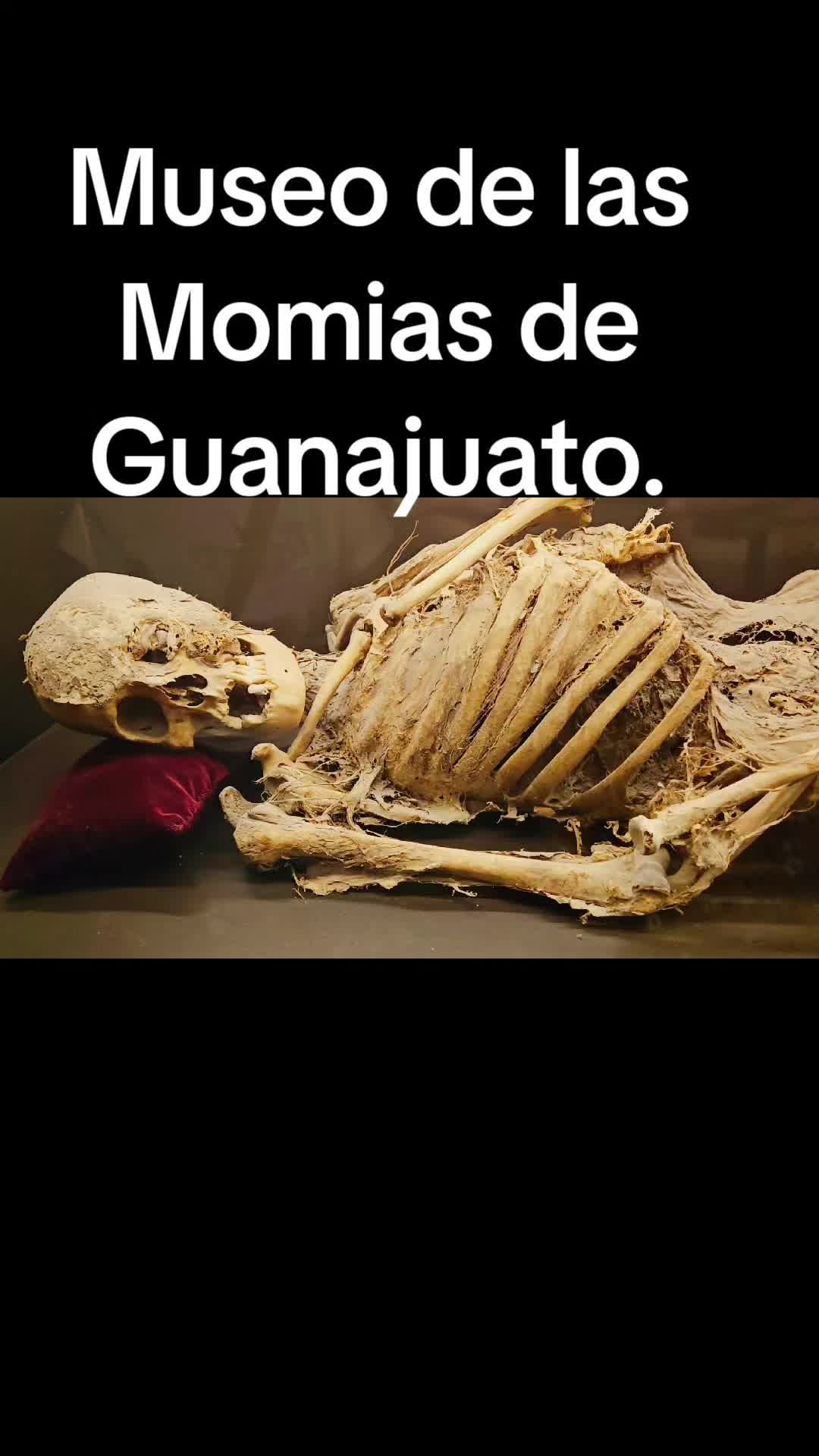 @ca1rmen