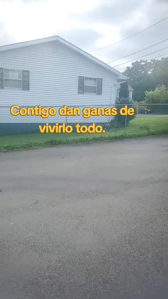 @el panda solitario