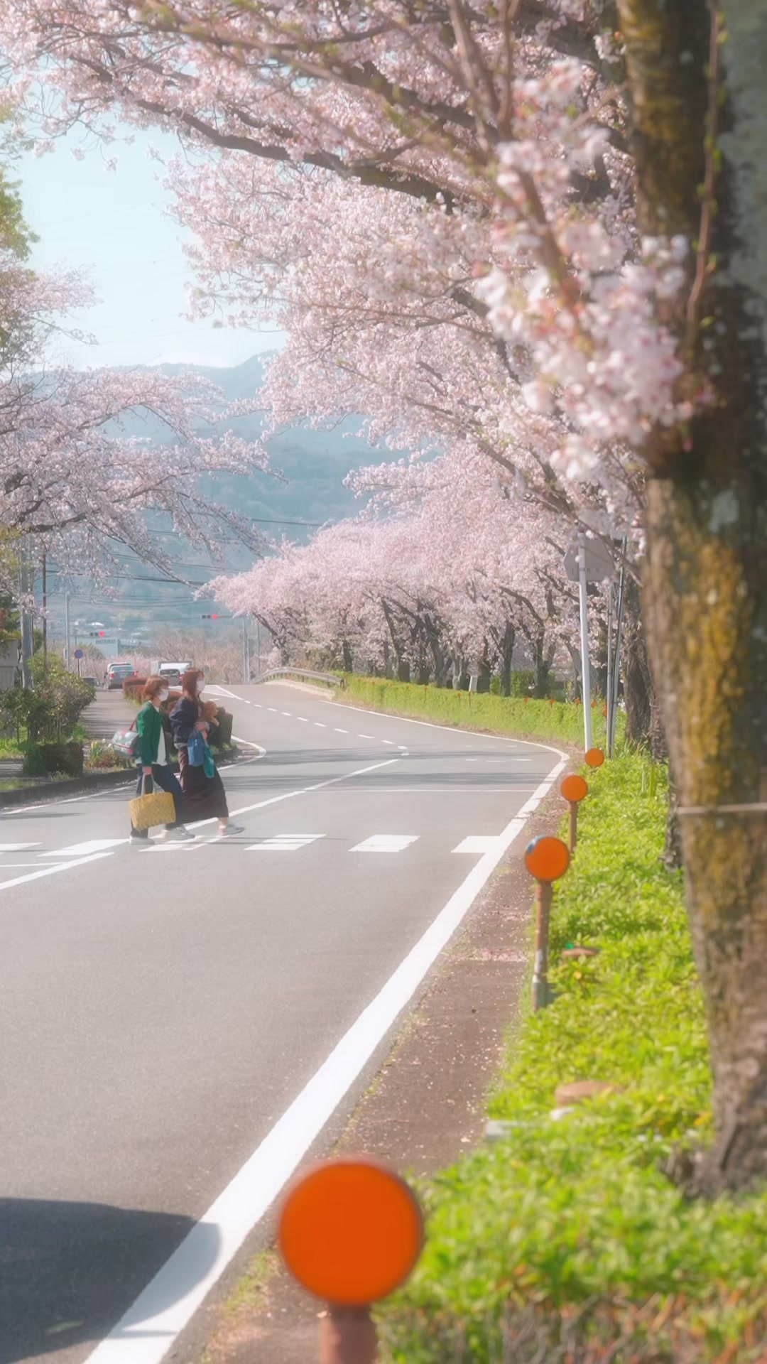 @Yuki[魅力ある景色の記録]