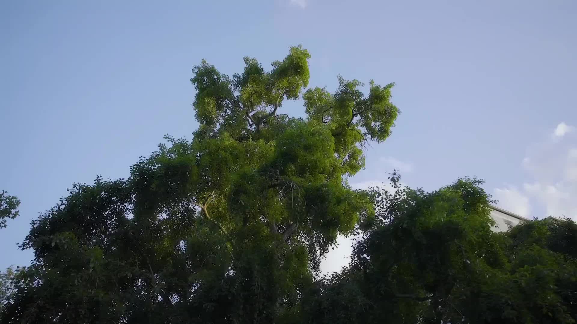 @Stickleꨄ