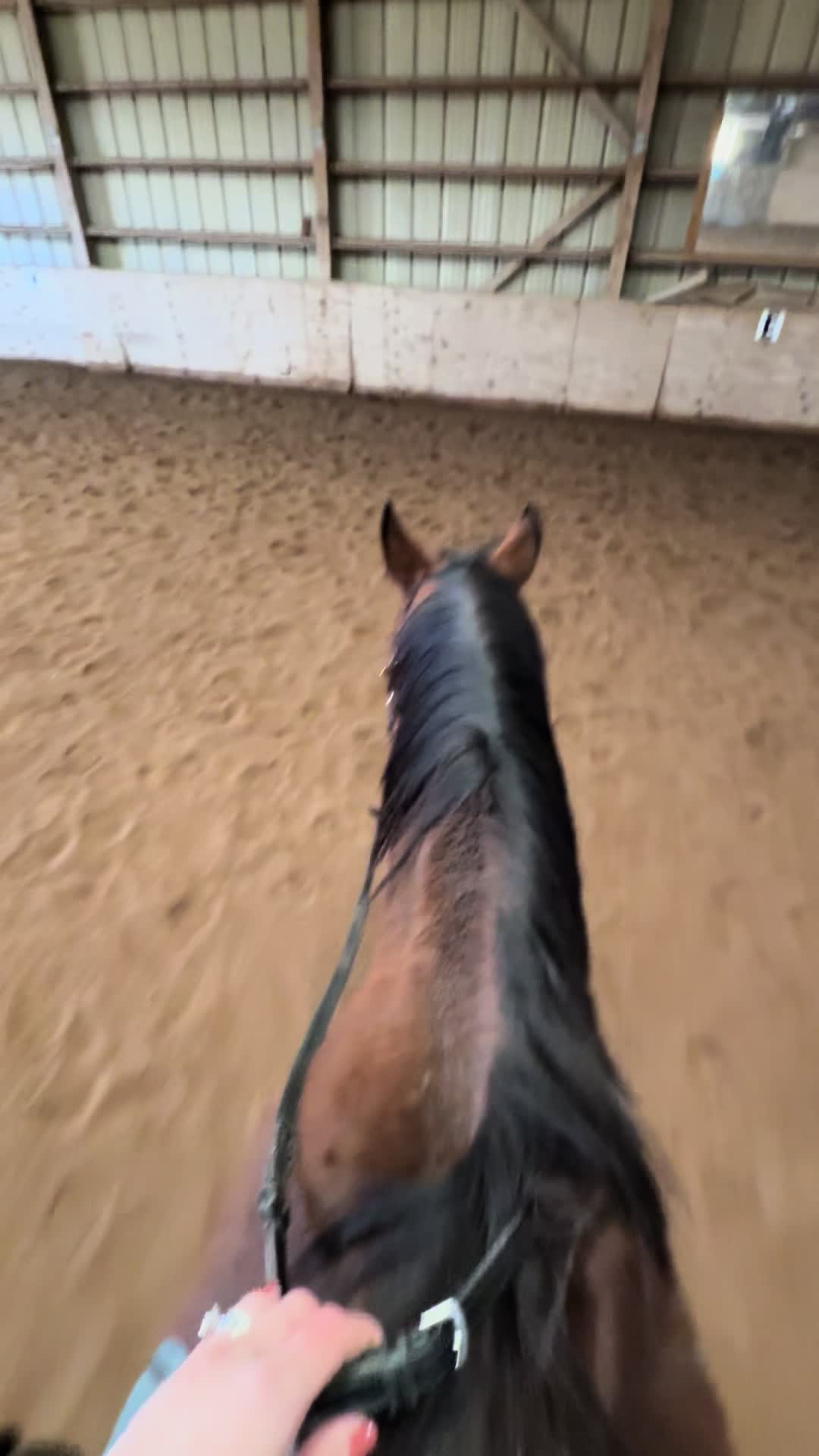 @Following_leader
