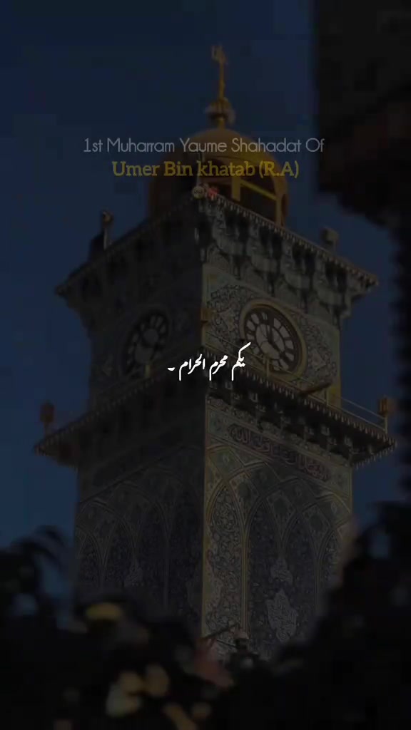 @Mughal Here ☠️❤️&zwj;🔥🍂