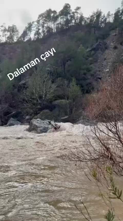 @Güler Kaya