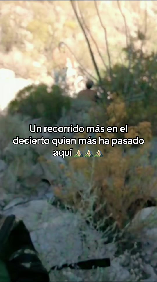 @678sanches