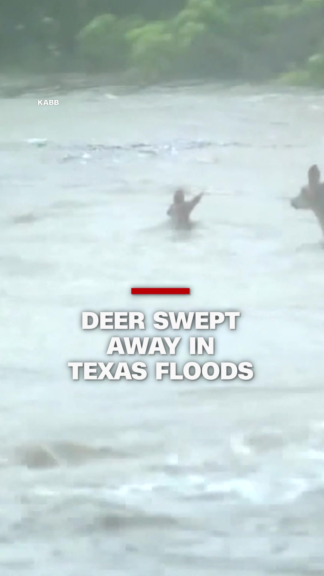 @CNN