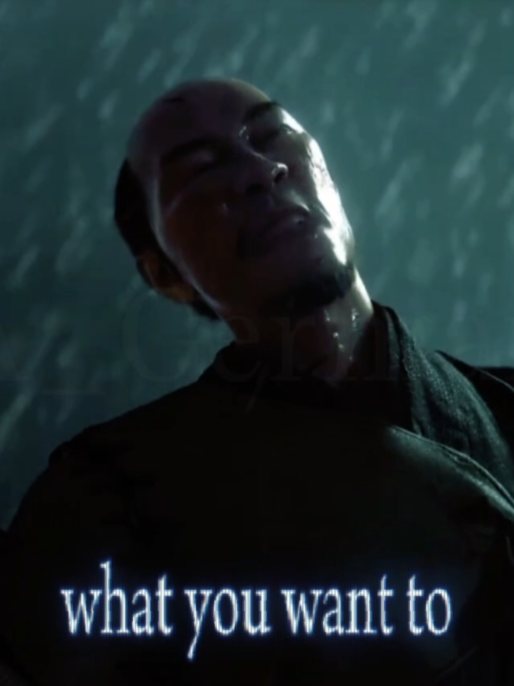 @the spider's left eyebrow