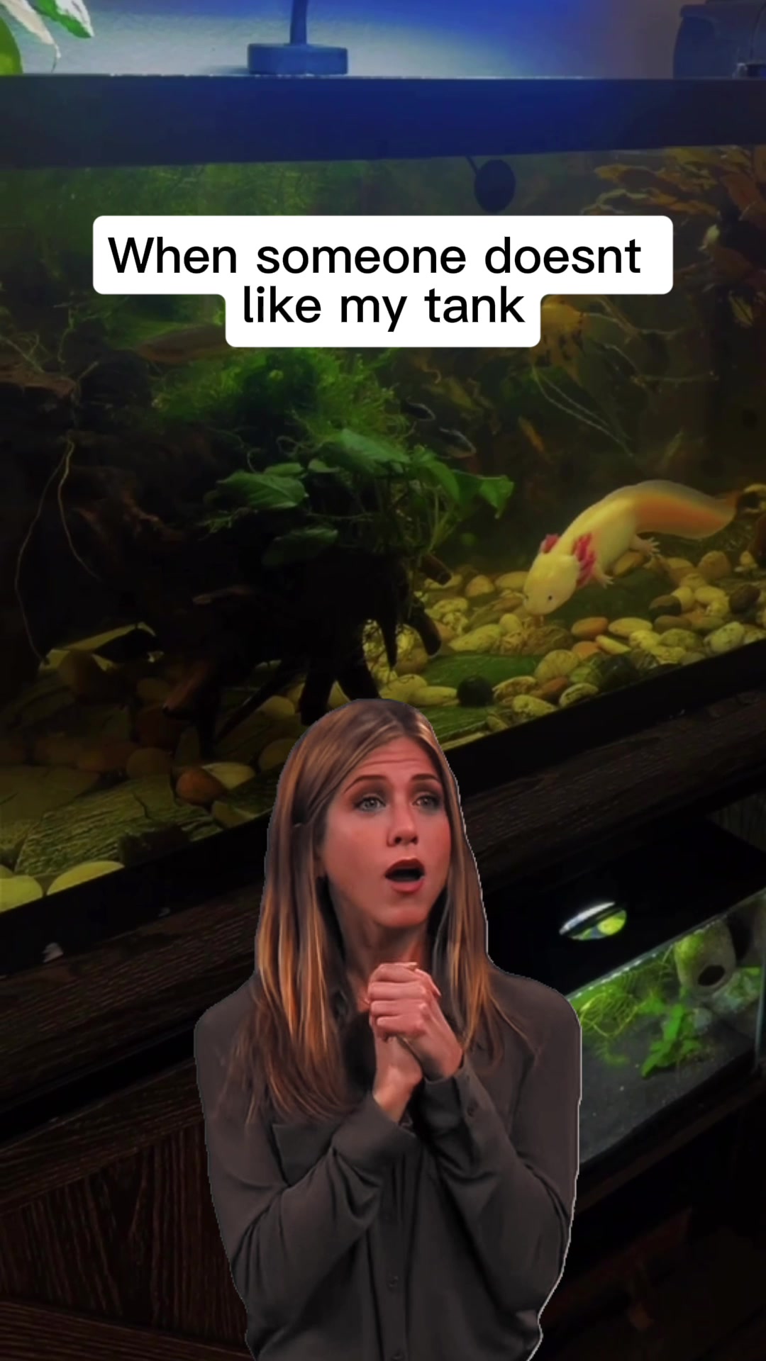 @Lil_desert_hobo