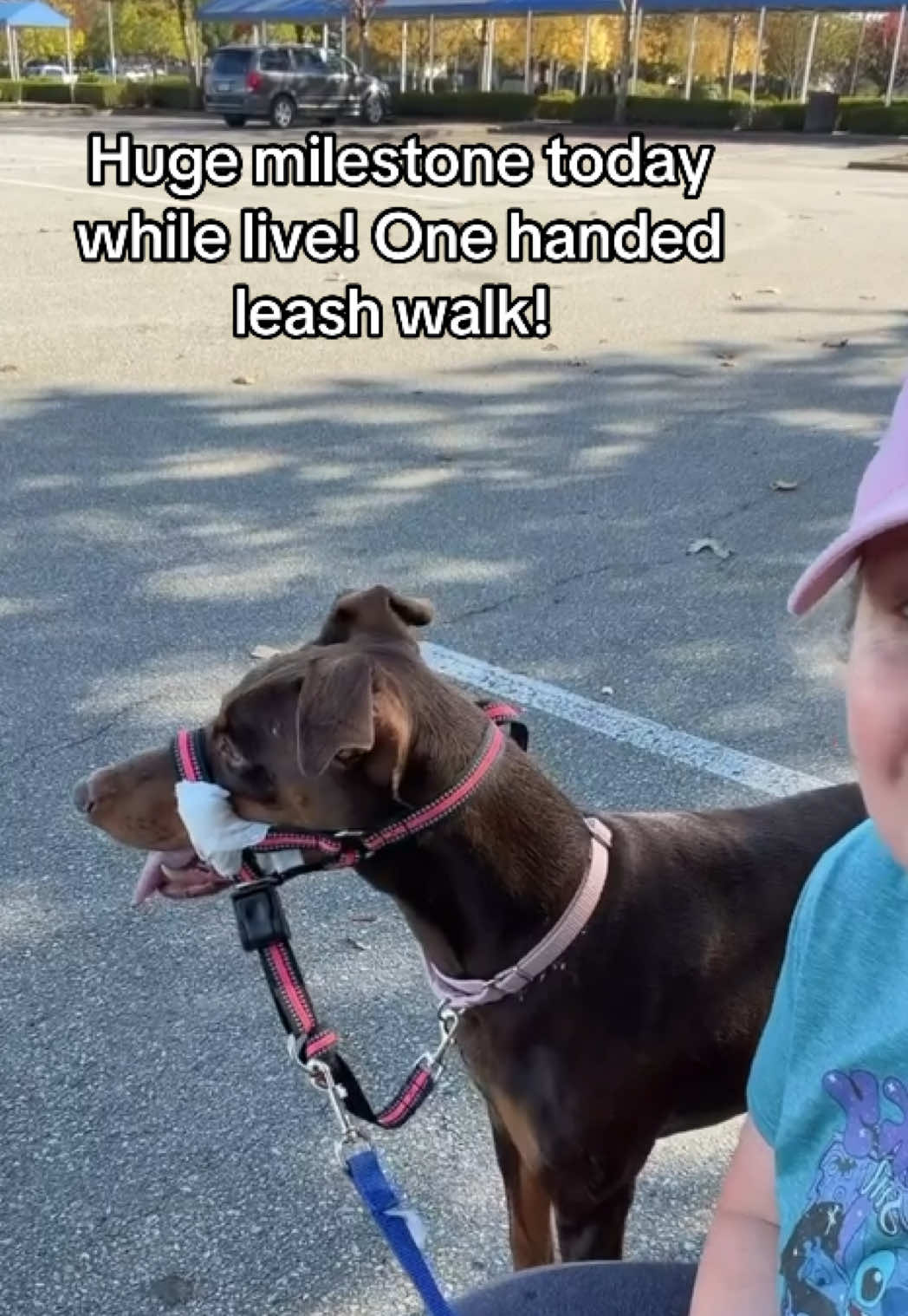 @Luna The Doberman