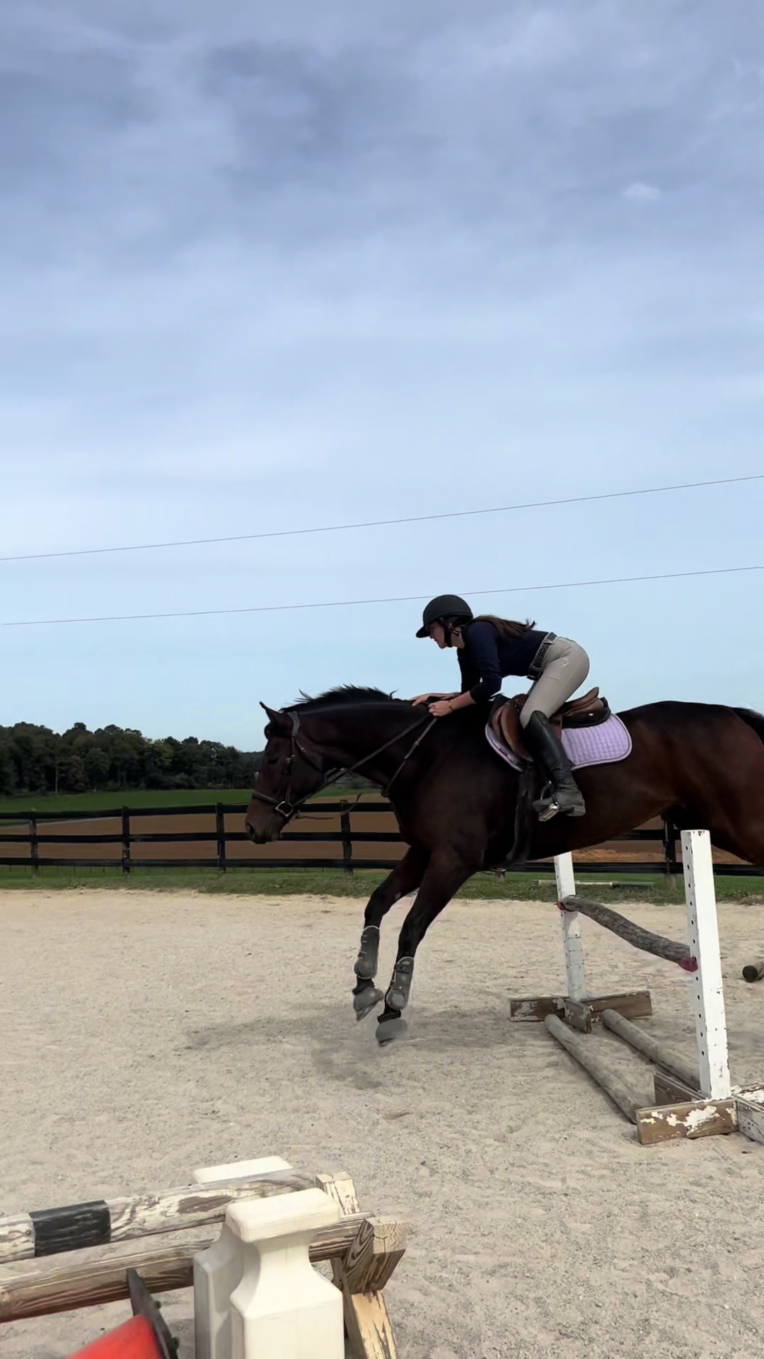 @Aftyn 🐎