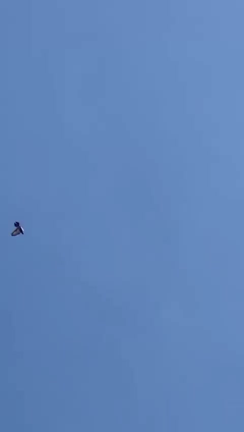 @d&ouml;nek_g&uuml;vercin_