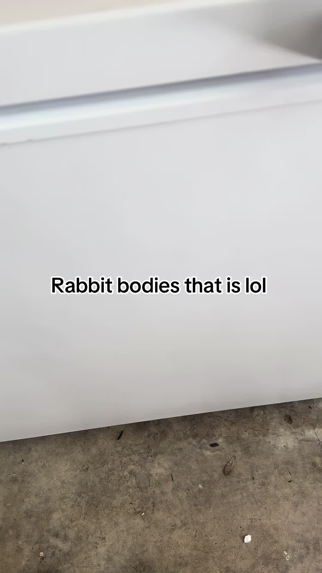 @rabbitqueen2025