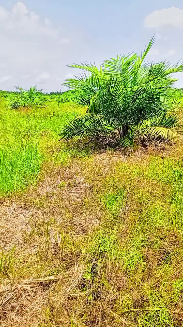 @RandomStory.05