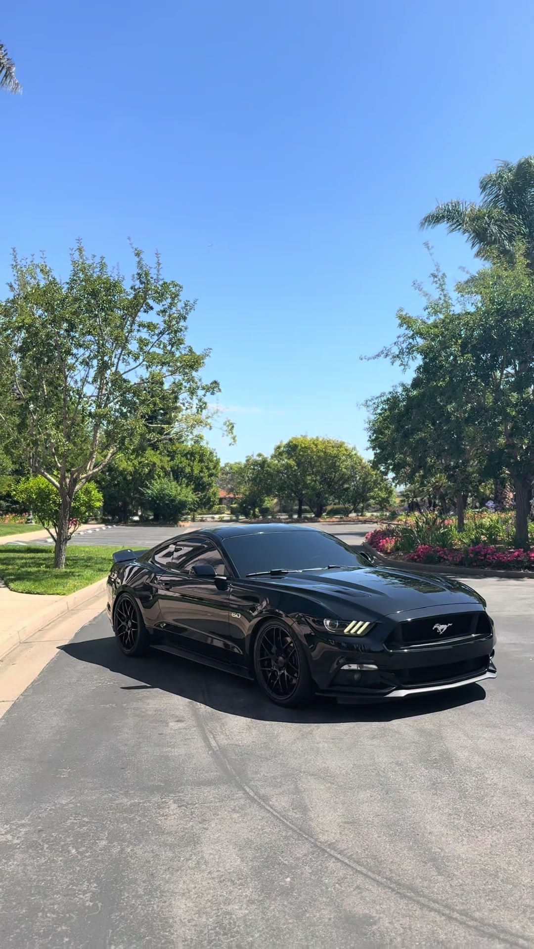 @5.0_alex_0