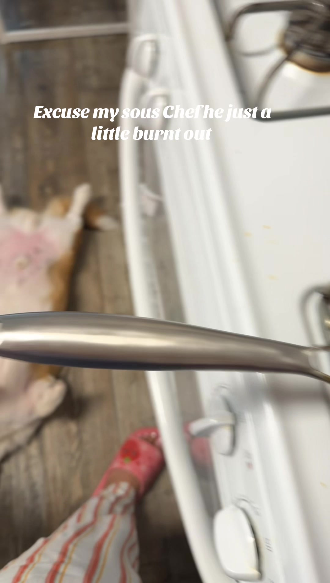@aerusroommate