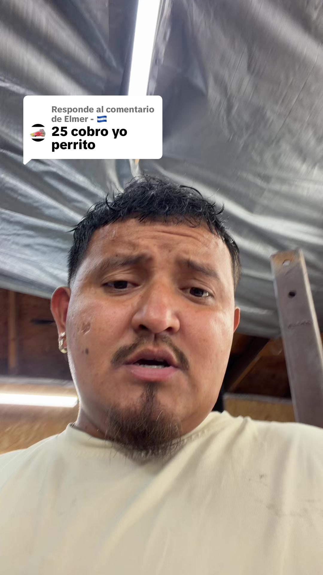 @FEDERIKO