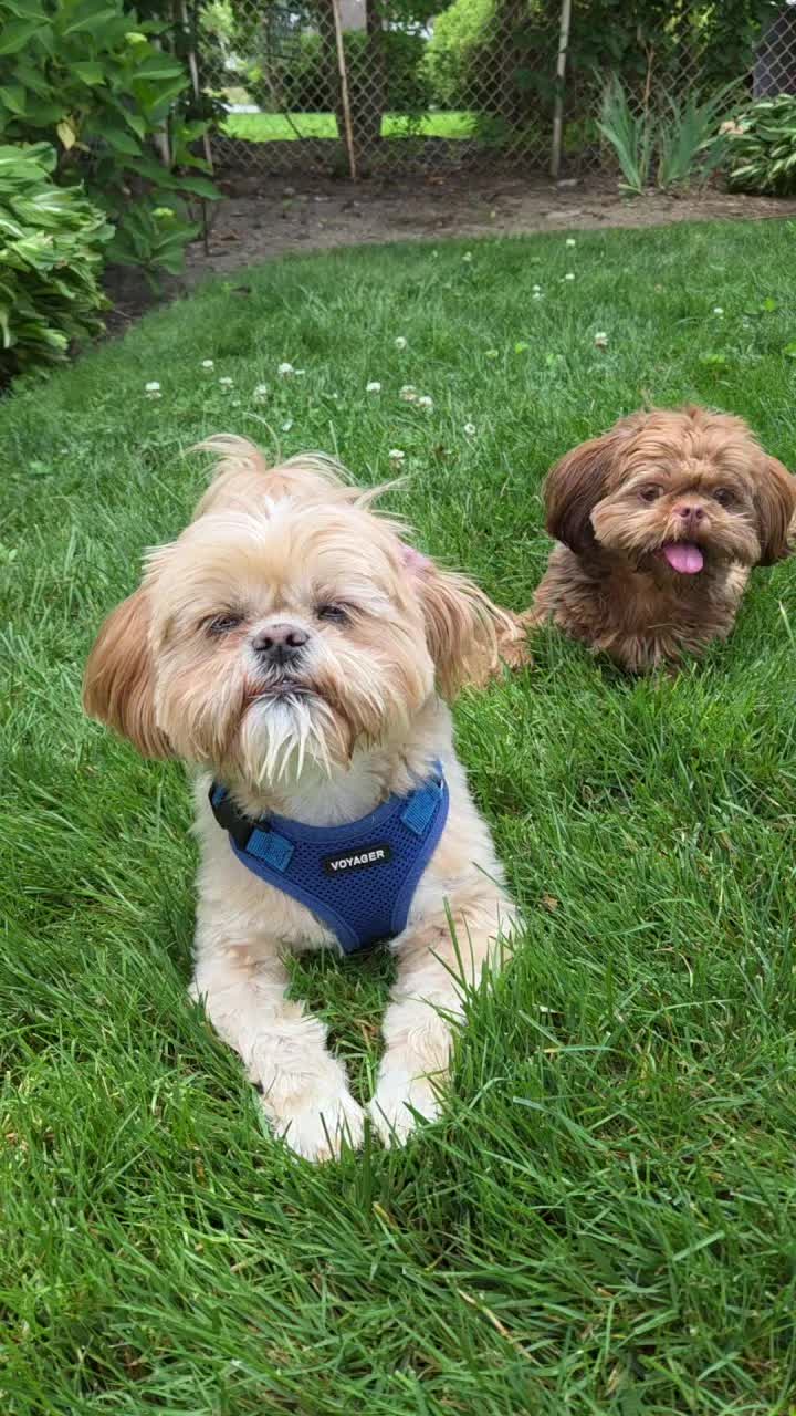 @🐶🎀OzzyBoy&Jenn🎀🐶