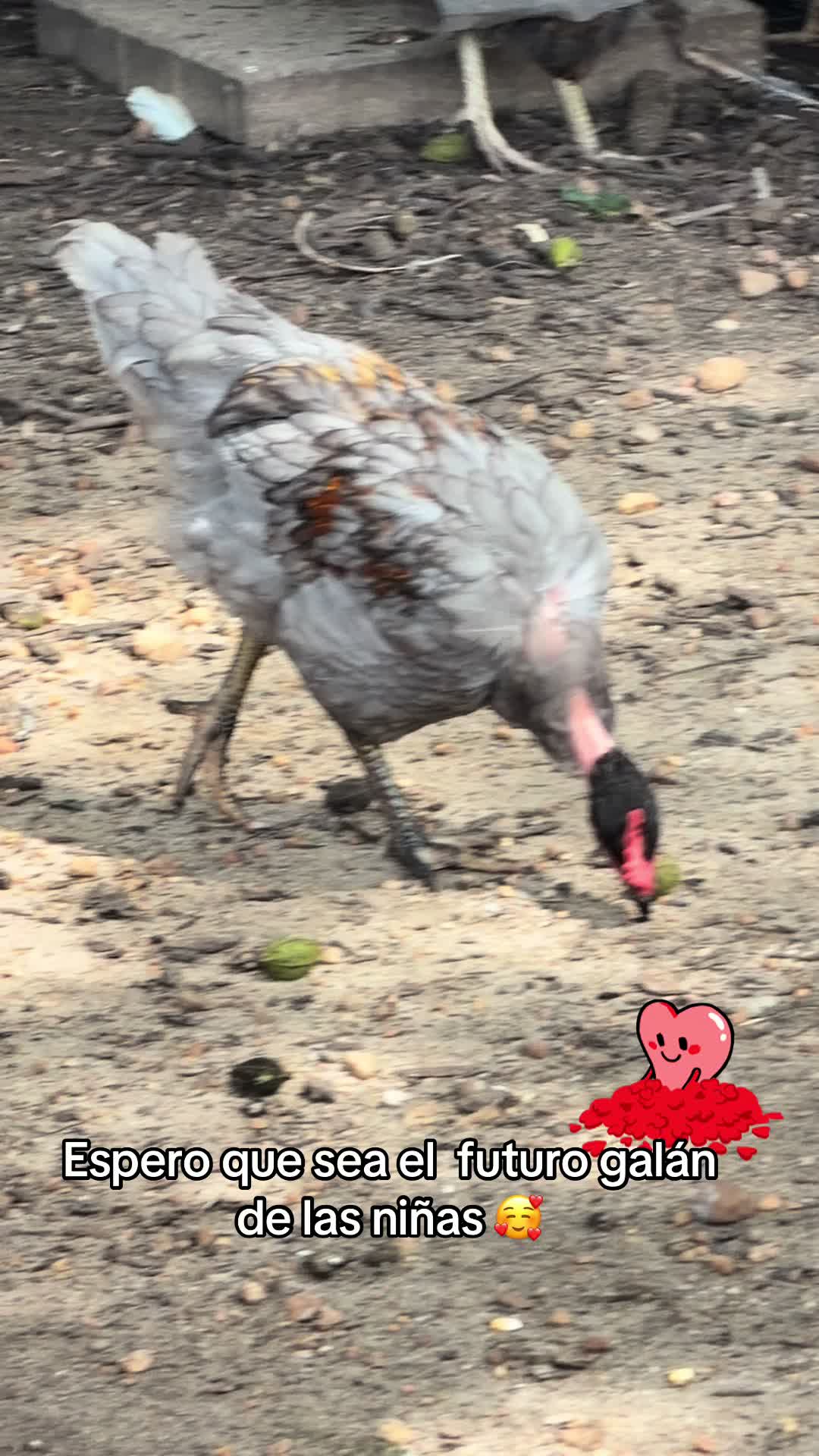 @ð«ð©ðŽFlaquisð©ðŽð«