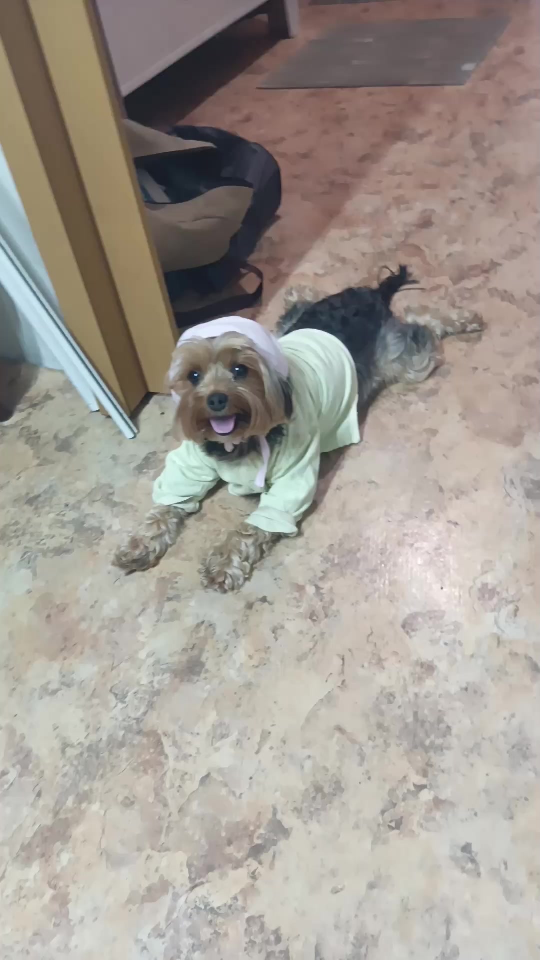 @Любаша