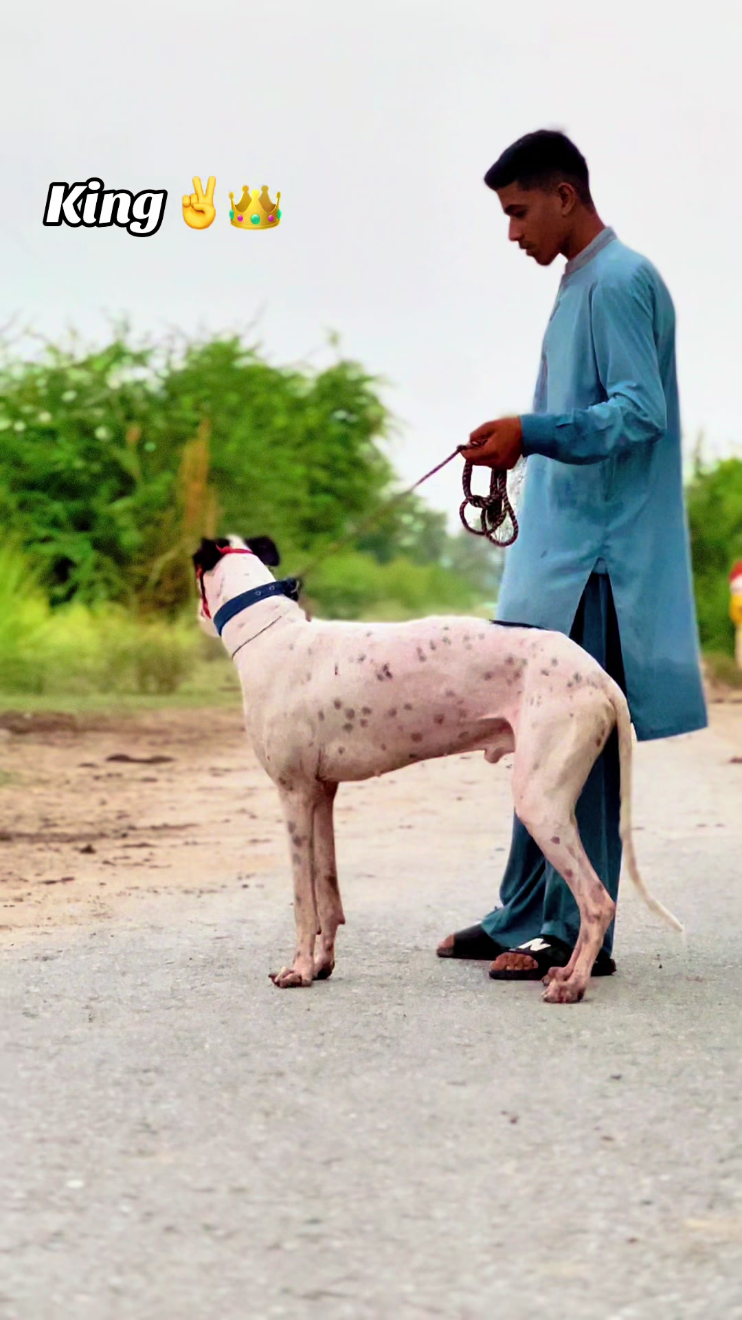 @جٹ ہنٹنگ کلب گڑھا جٹاں