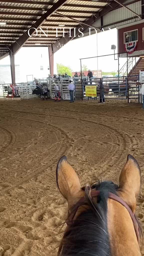 @Pepper Stewart 🤠 📺