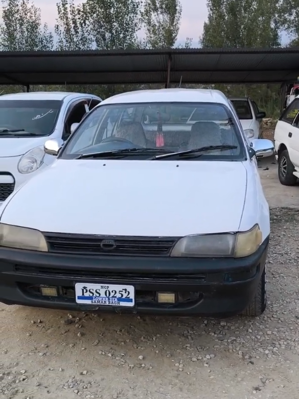 @ncpcarlover1