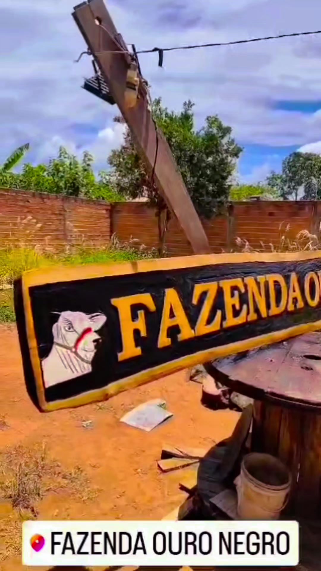 @Bianca Machado