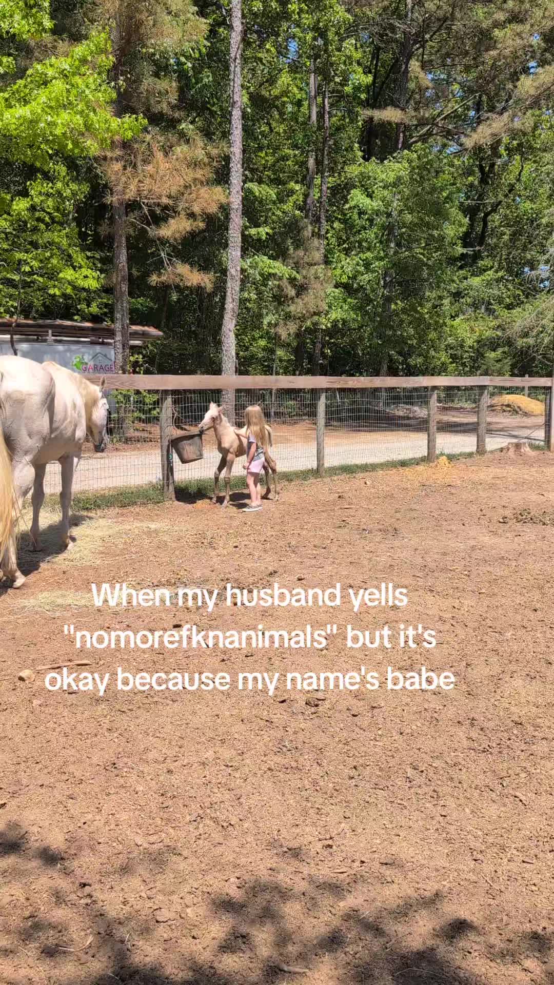 @NikkiDiller