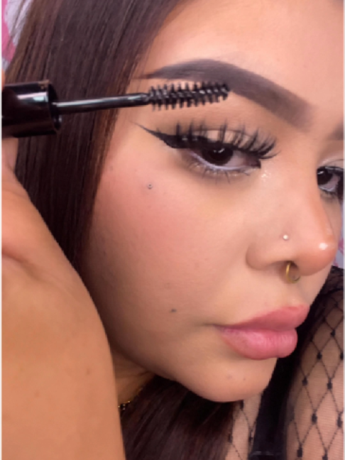 @SANIYECOSMETICOS