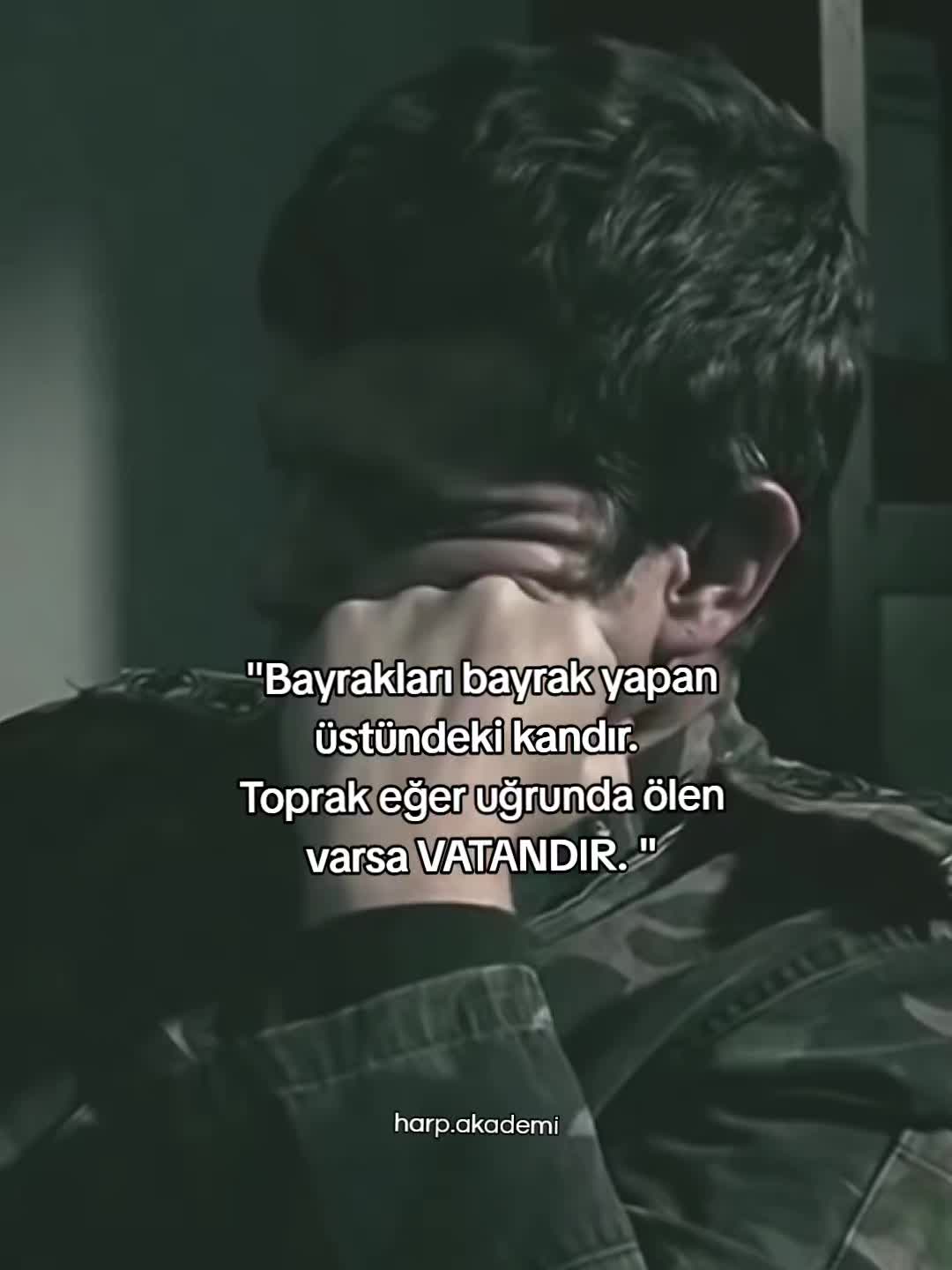 @harp.akademi