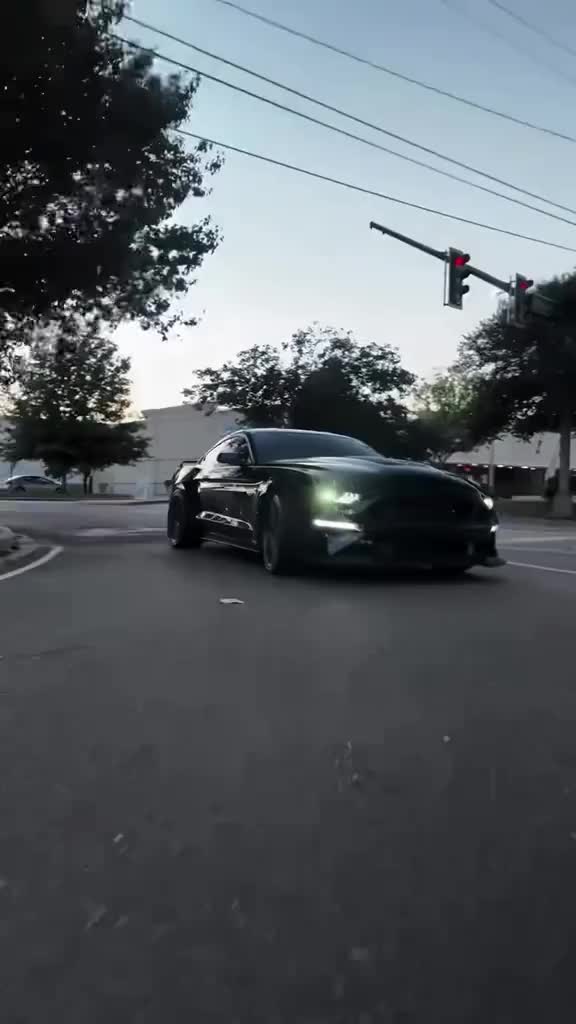 @TopTierMustang