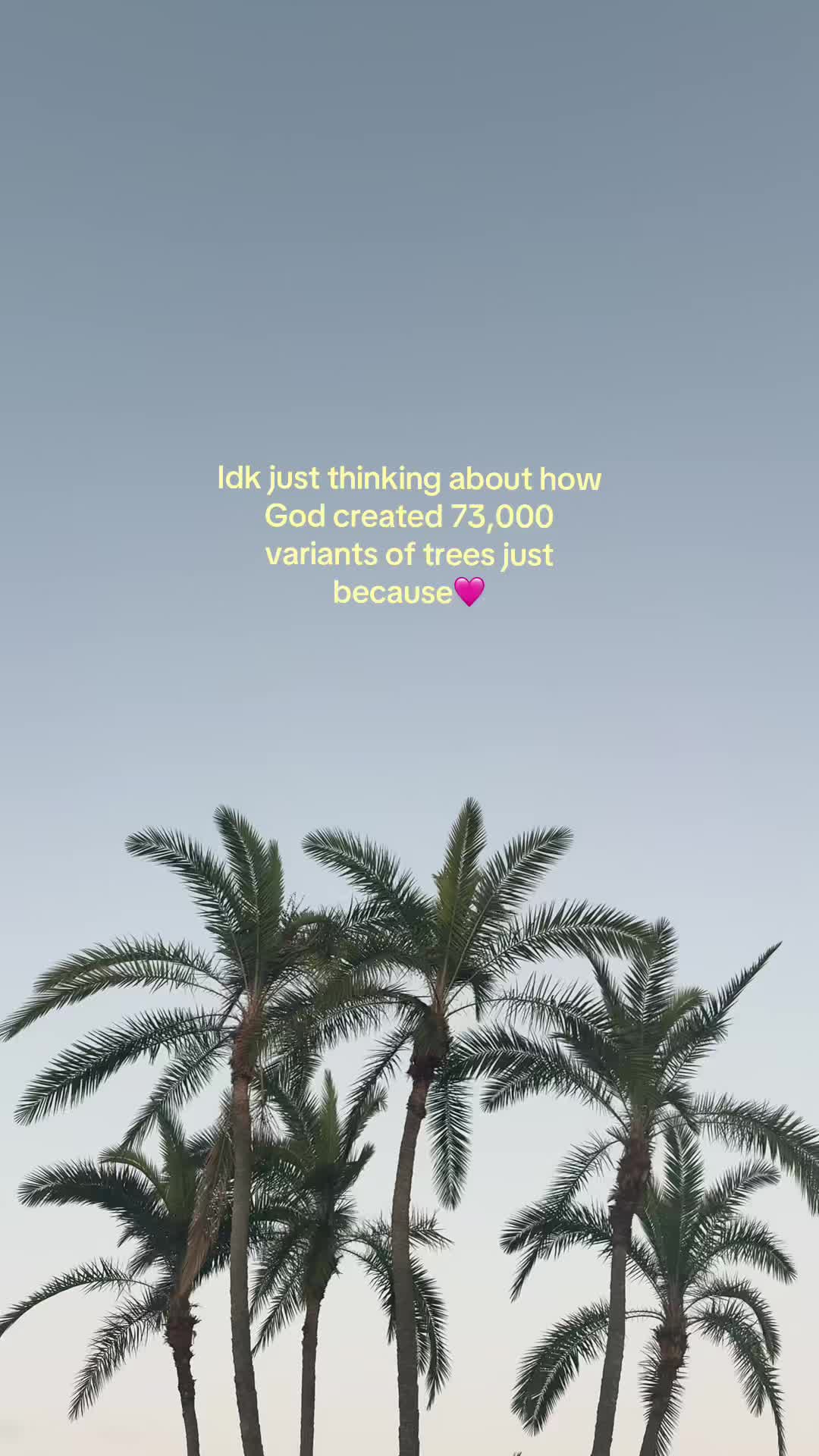 @JENNA ⭐️⭐️⭐️⭐️⭐️