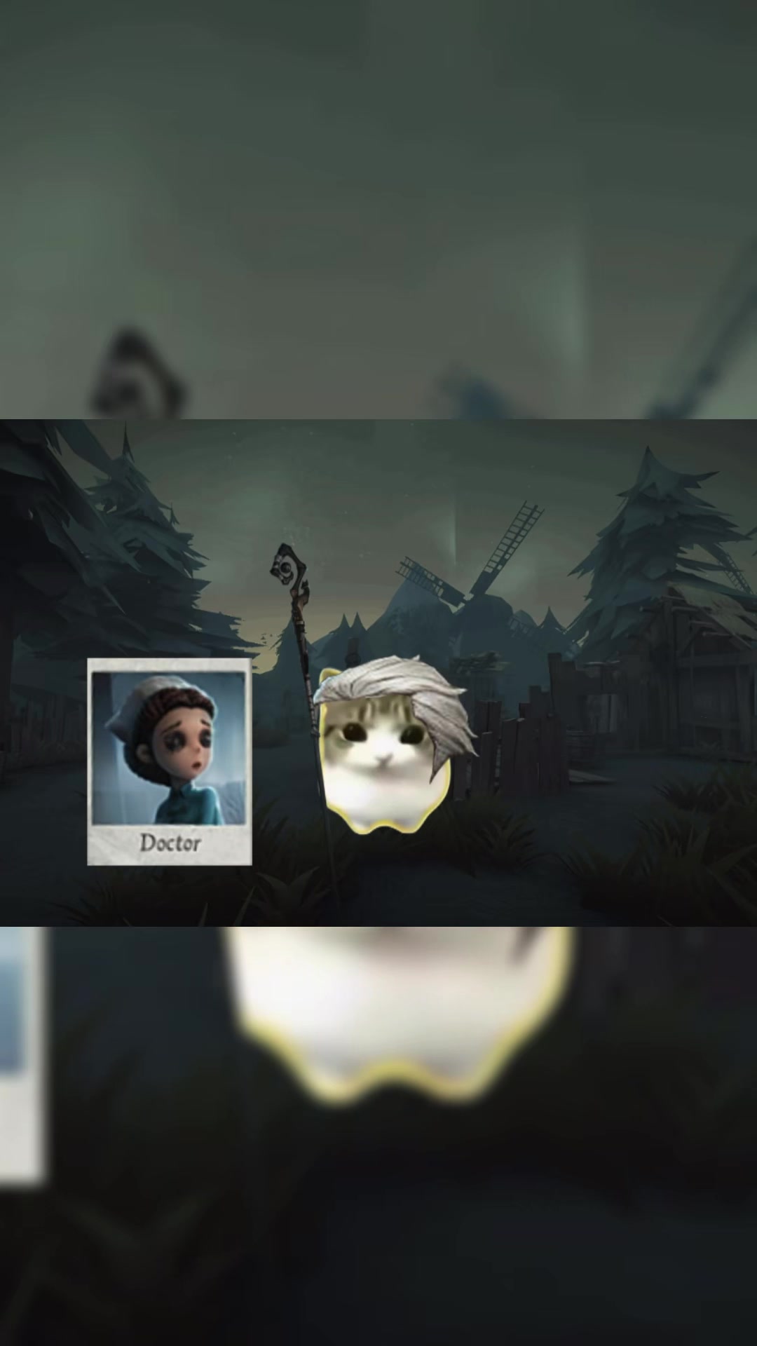 @~WildCard~