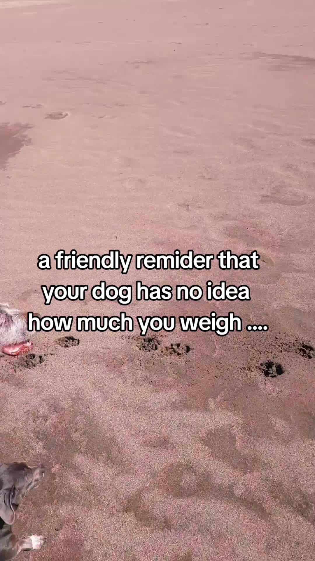 @lifeofjenn