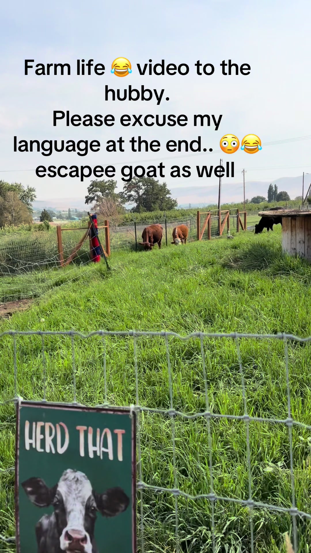 @WollamFarm