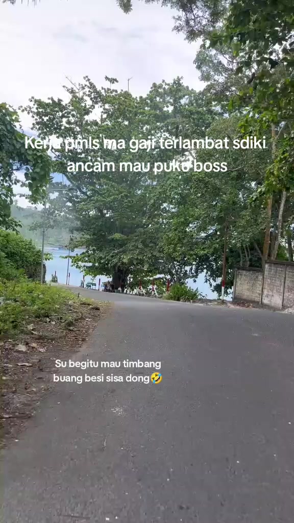 @To,o🐍