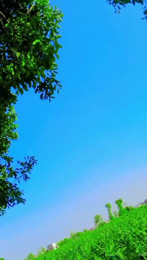 @Saith Mana