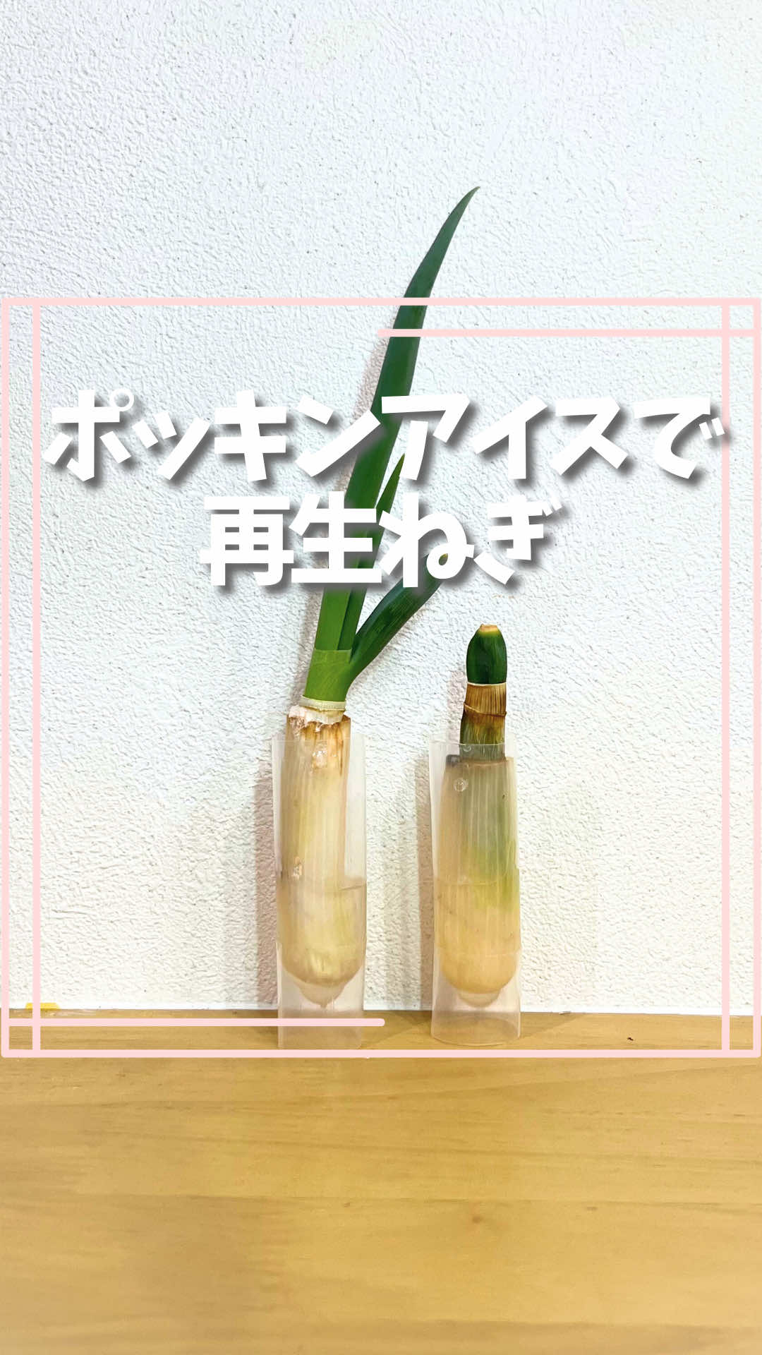 @はる|年間100種類の野菜を育てる3児のママ🍅